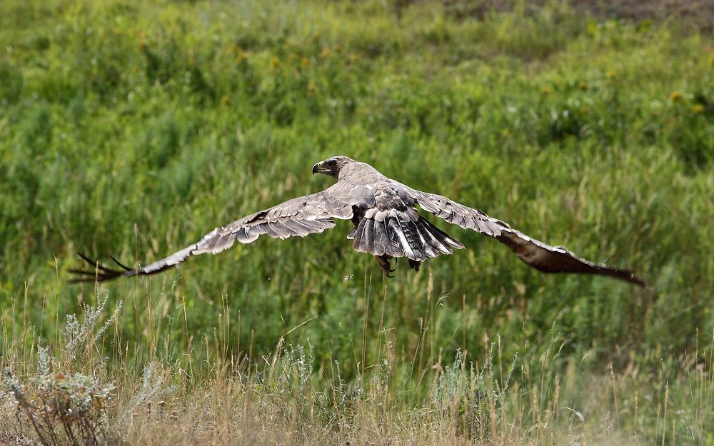 Photograph by Мурат Кужахметов