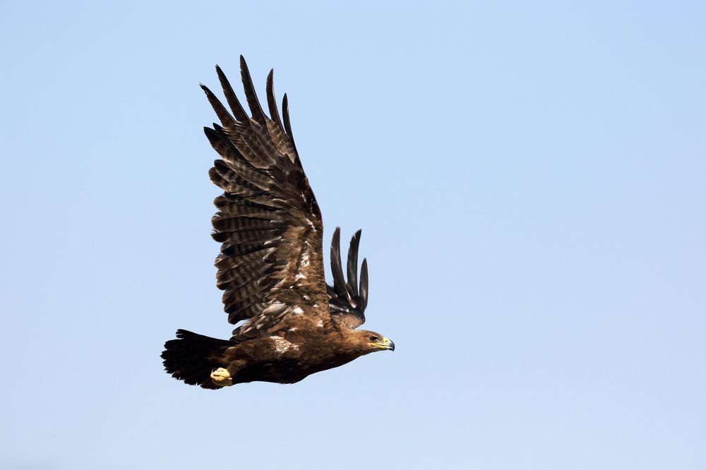 Photograph by Мурат Кужахметов