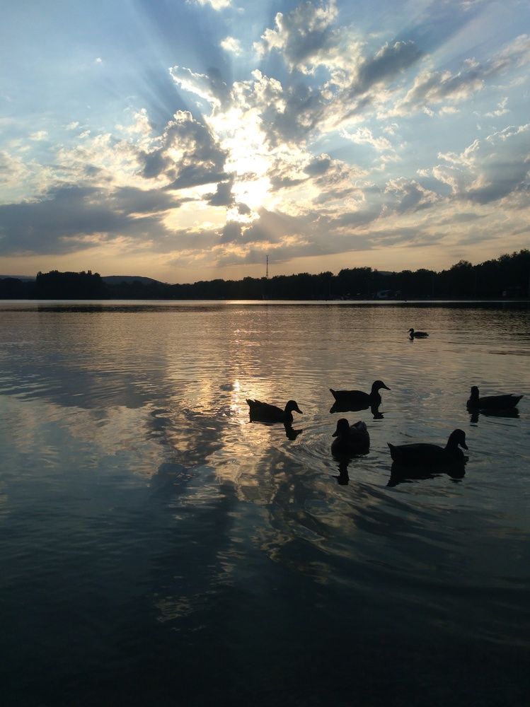 Photograph by Elena Lopatina