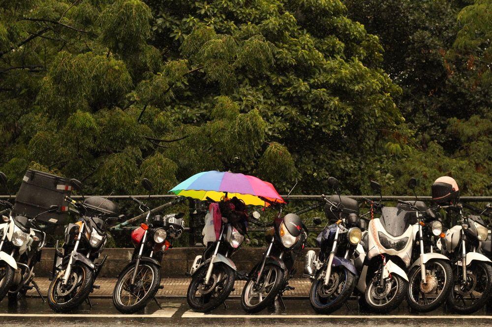 Photograph by Régis Santos