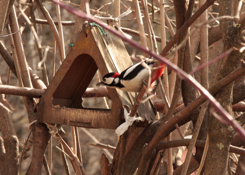 Что там на завтрак?