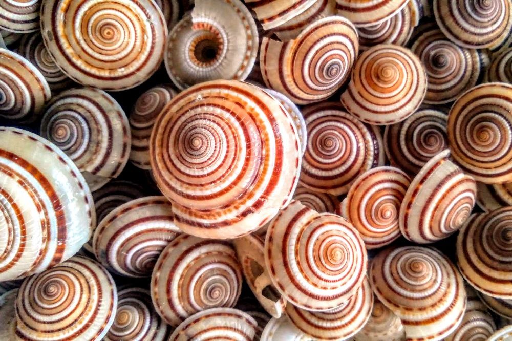 Photograph by Kenric Adam