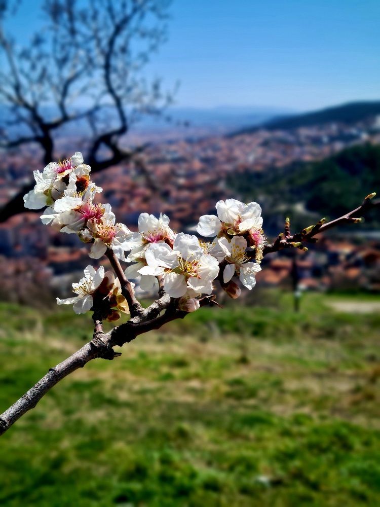 Photograph by Farah Ali