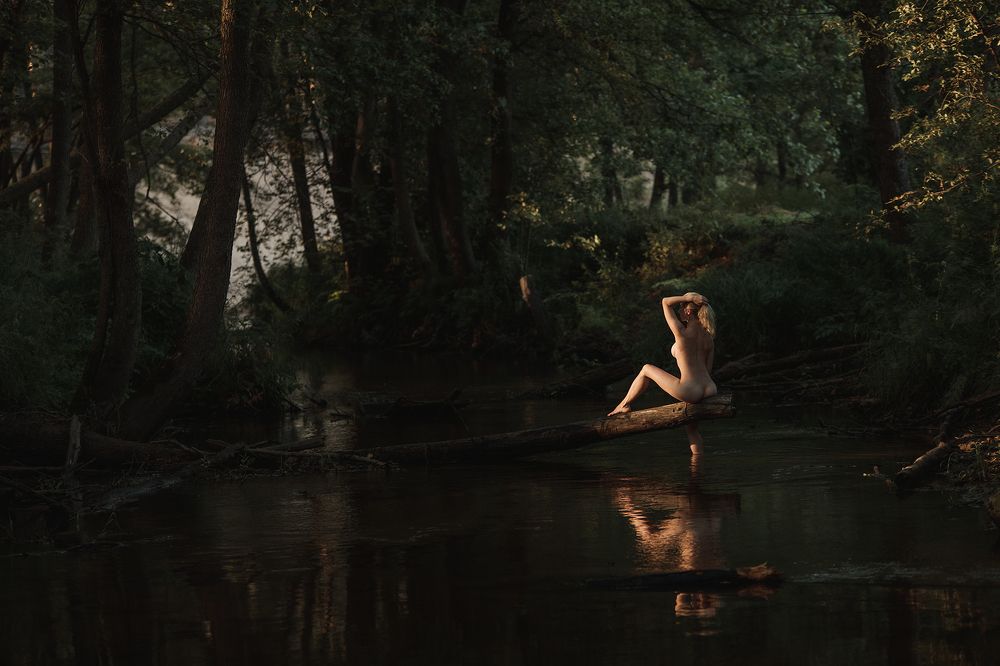 Фотография автора Андрей Вепрынцев