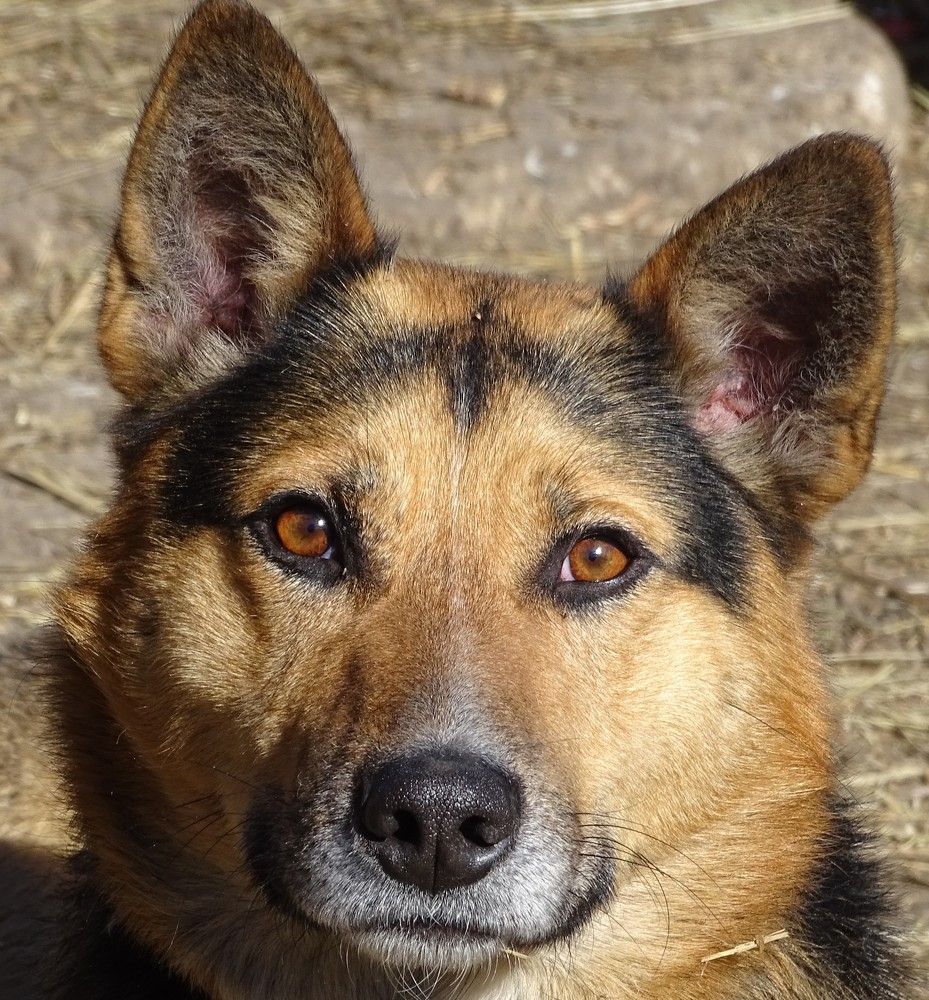 Photograph by Юлия