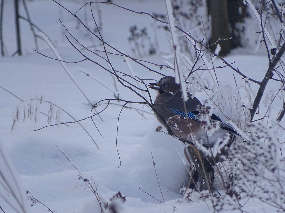 Photograph by Юлия