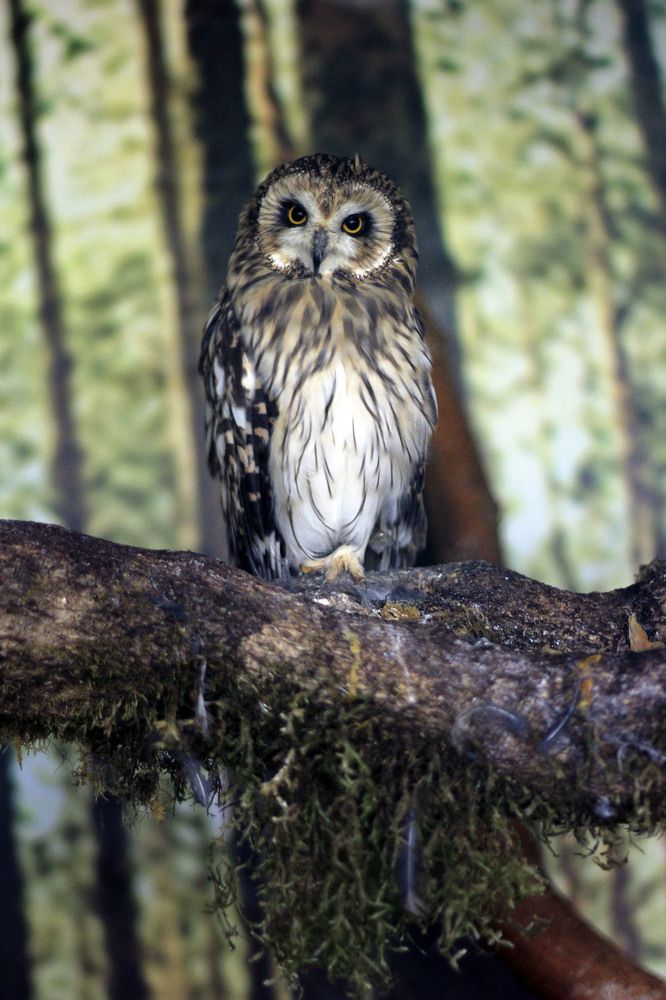 Photograph by Елена Титова