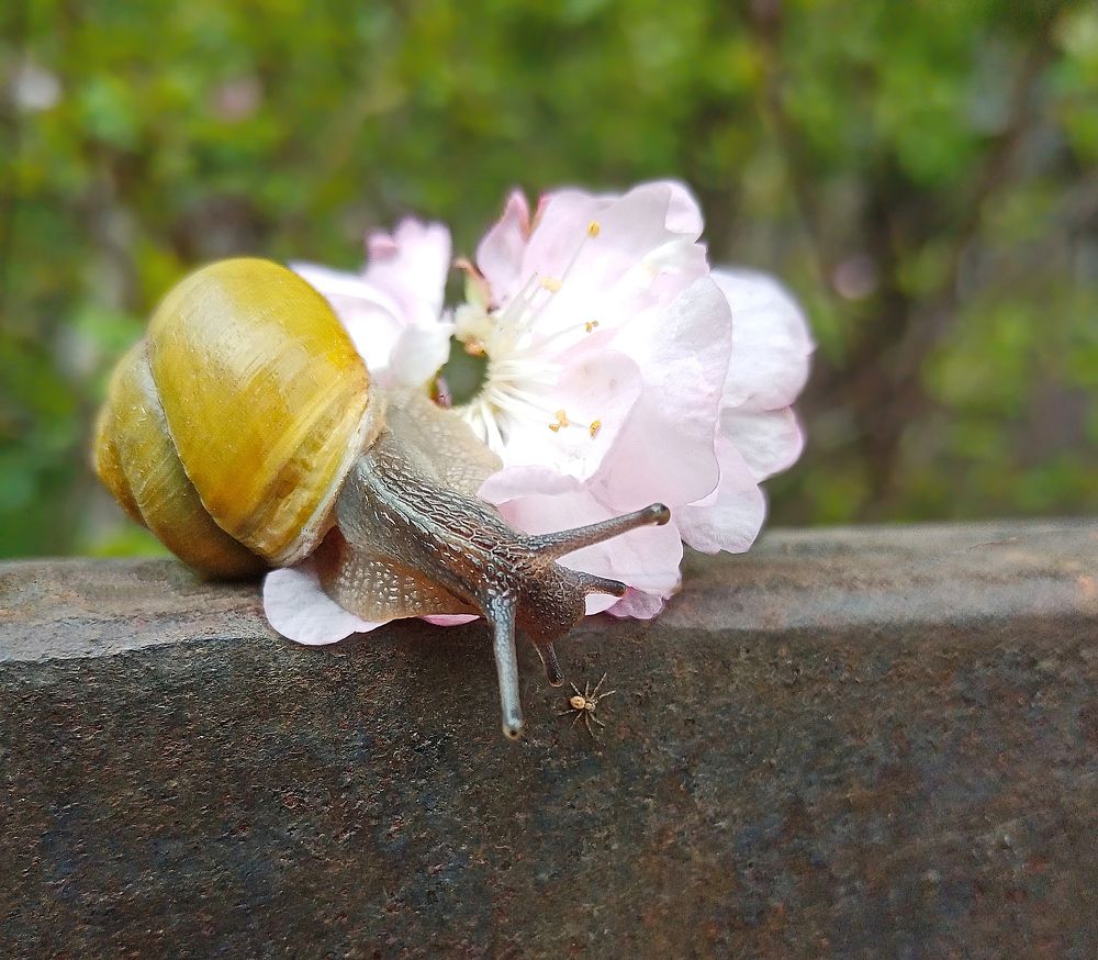 Photograph by Константин Мишнаевский