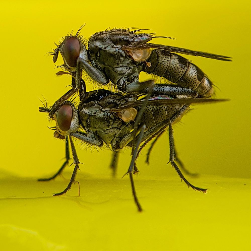 Photograph by sunil kumbar