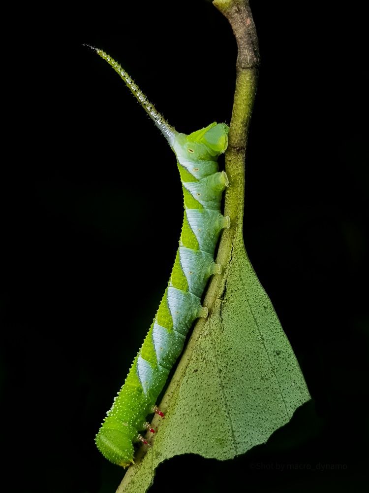 Photograph by sunil kumbar