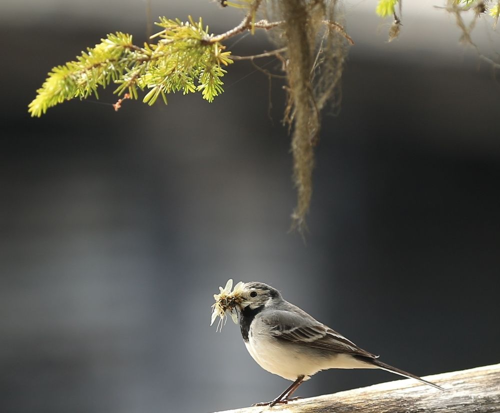 Фотография автора Юрий Кетель