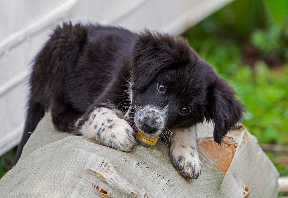 пока мама не видит