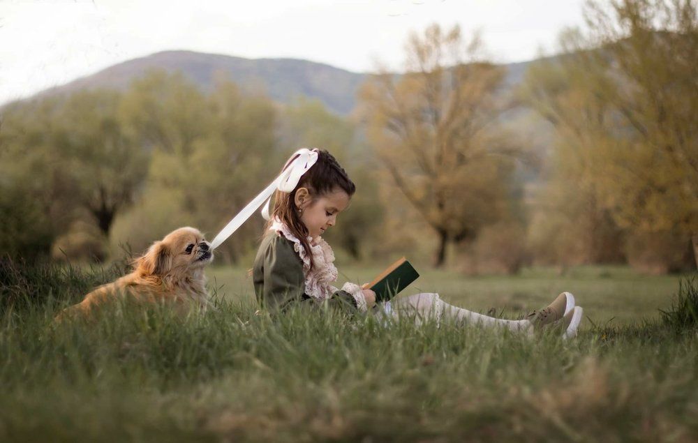 Photograph by Олеся Бучацька