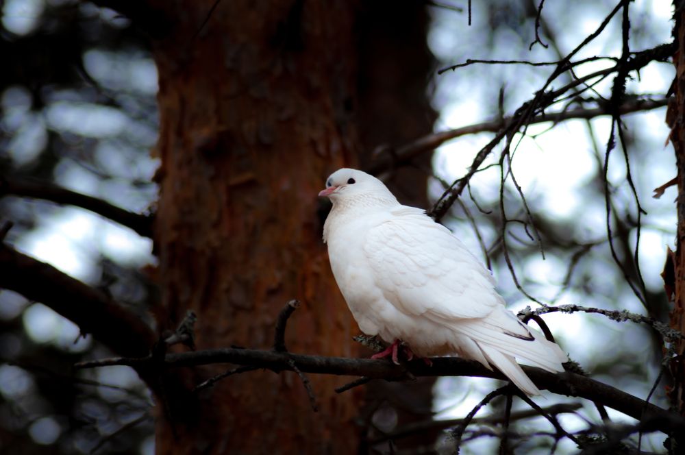 Photograph by Алексей Ильин