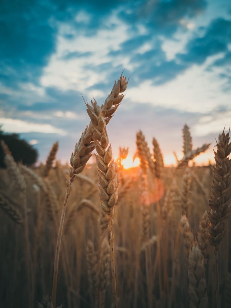 Фотография автора Геннадий Ломеко