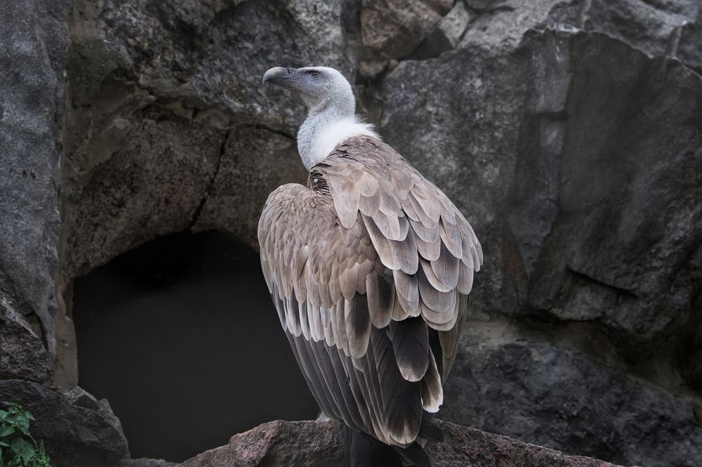 Photograph by Ирина Ульянова