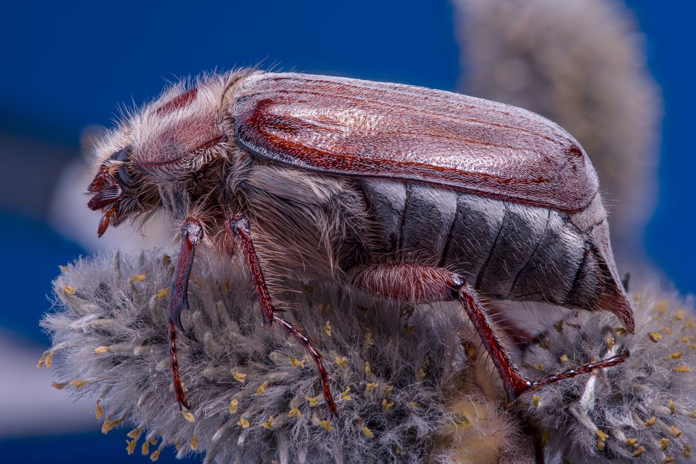 Photograph by Олег Кипкаев