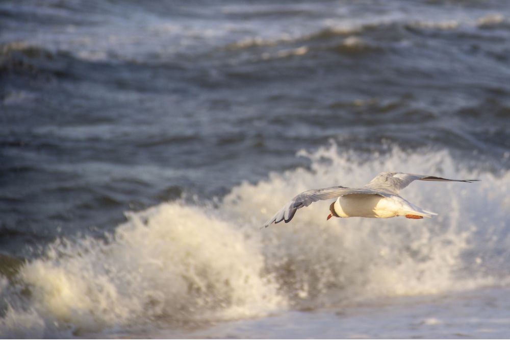 Photograph by Почечуй Андрей