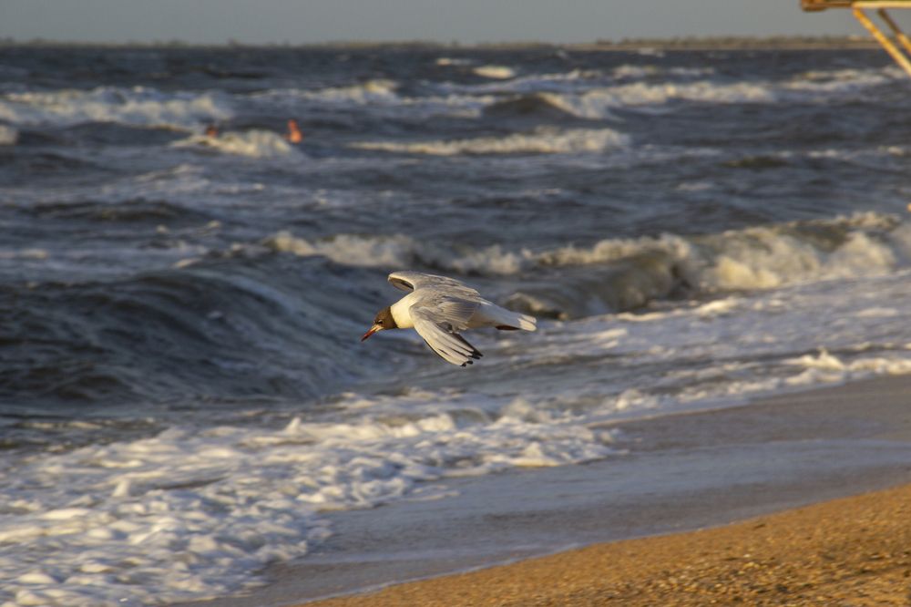 Photograph by Почечуй Андрей