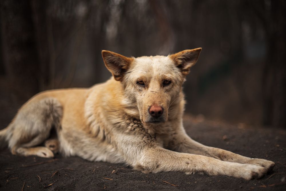 Photograph by Анна Чеснокова