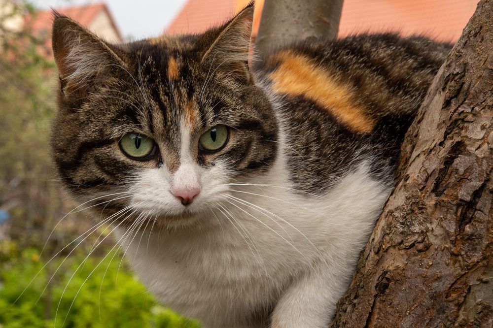 Photograph by Владимир Моисеенко