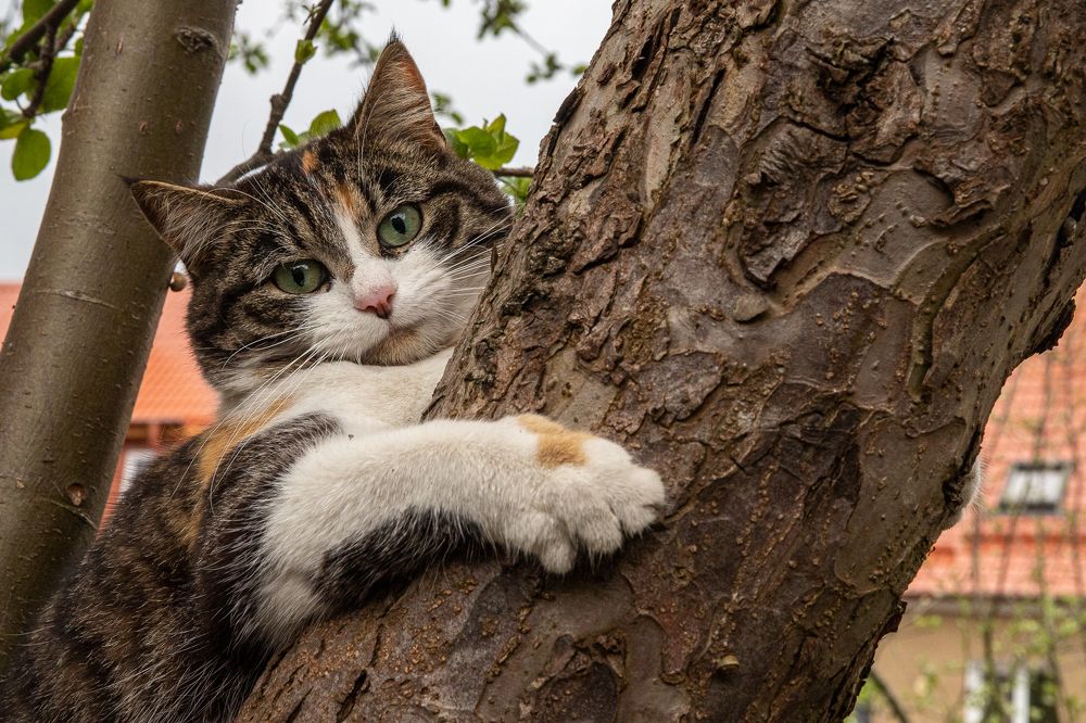 Photograph by Владимир Моисеенко