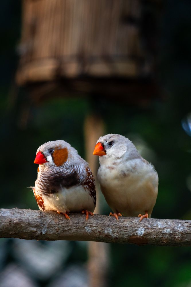 Photograph by Маргарита Таценко