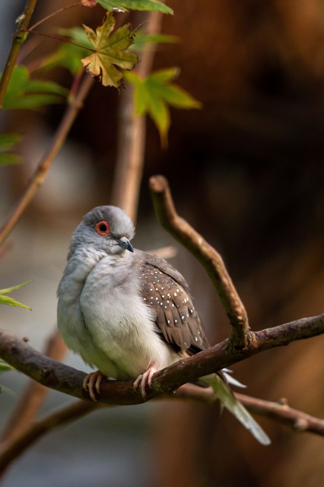 Photograph by Маргарита Таценко