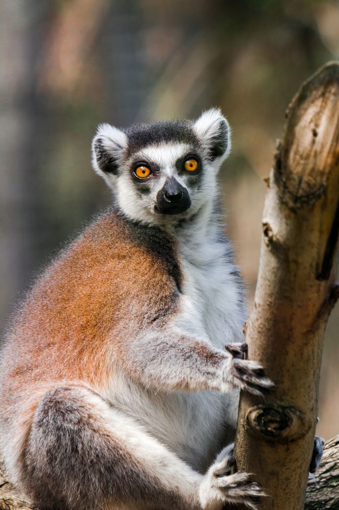 Photograph by Маргарита Таценко