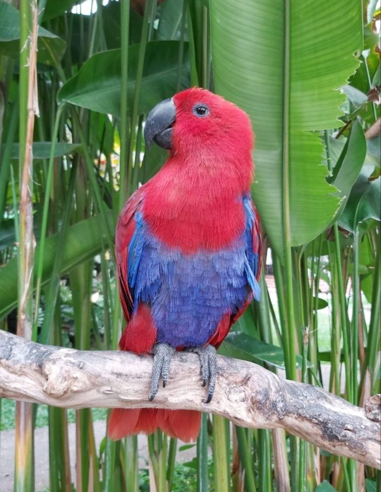 Photograph by Andrea Szénási