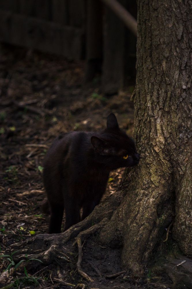 Photograph by Маргарита Таценко
