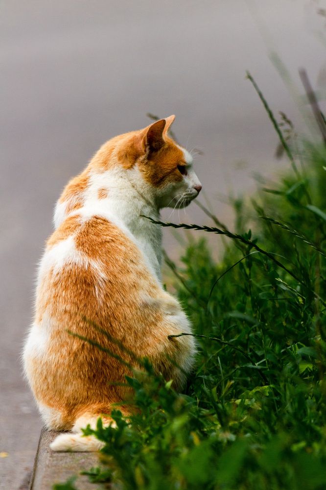 Photograph by Маргарита Таценко