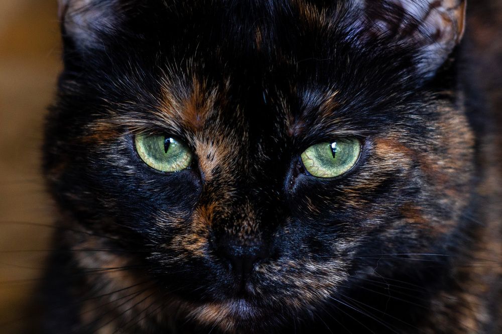 Photograph by Маргарита Таценко