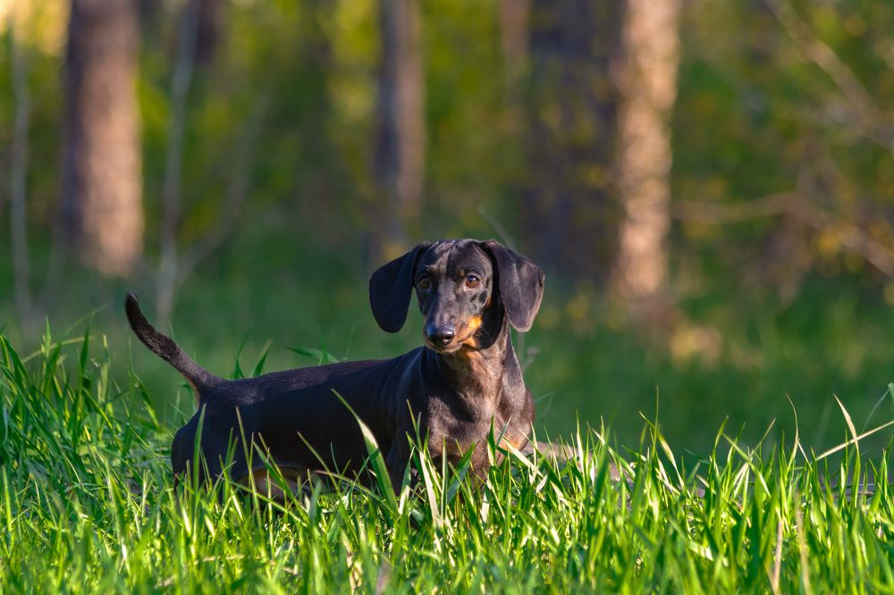 Photograph by Дмитрий Тимин