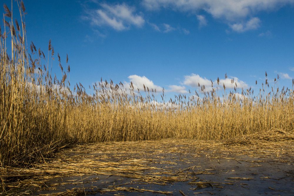 Photograph by Ilze Onzule