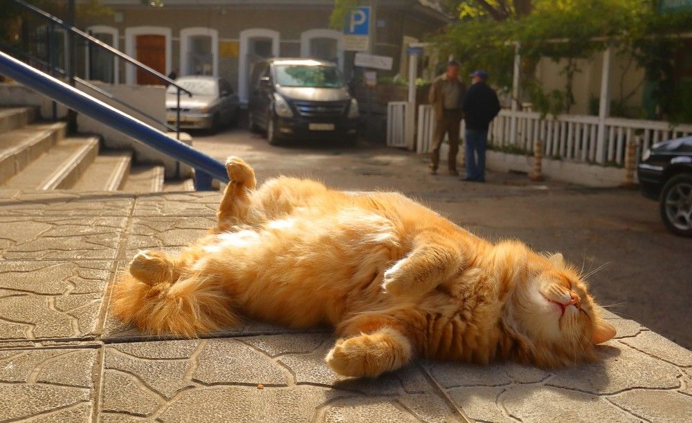 Photograph by Владимир Сафронов