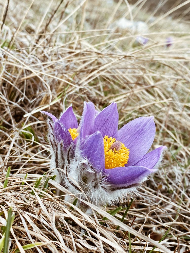 Photograph by Алина Цымбал