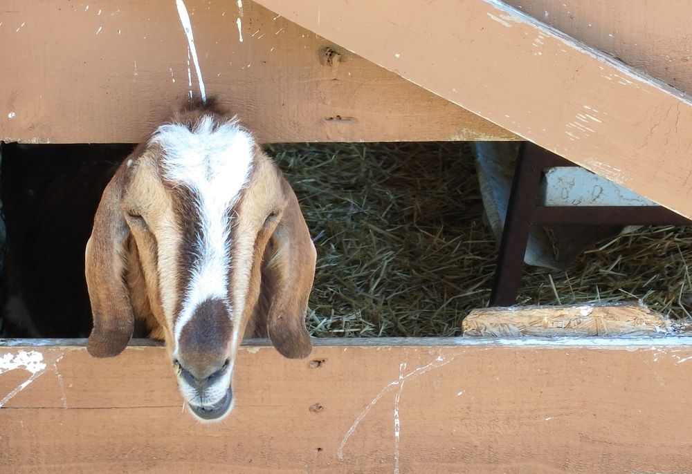 Photograph by Mohamed Kaouche