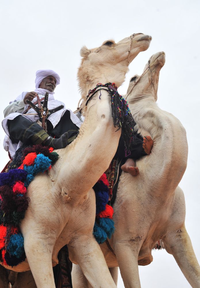 Photograph by Mohamed Kaouche