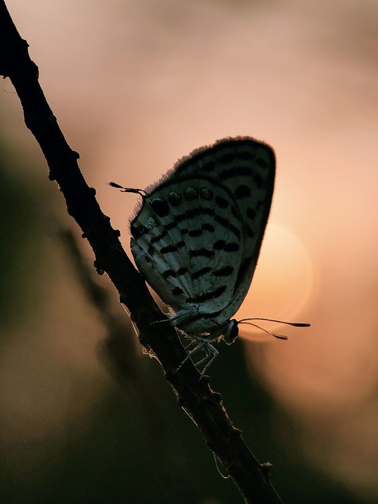 Photograph by Saurav Gupta