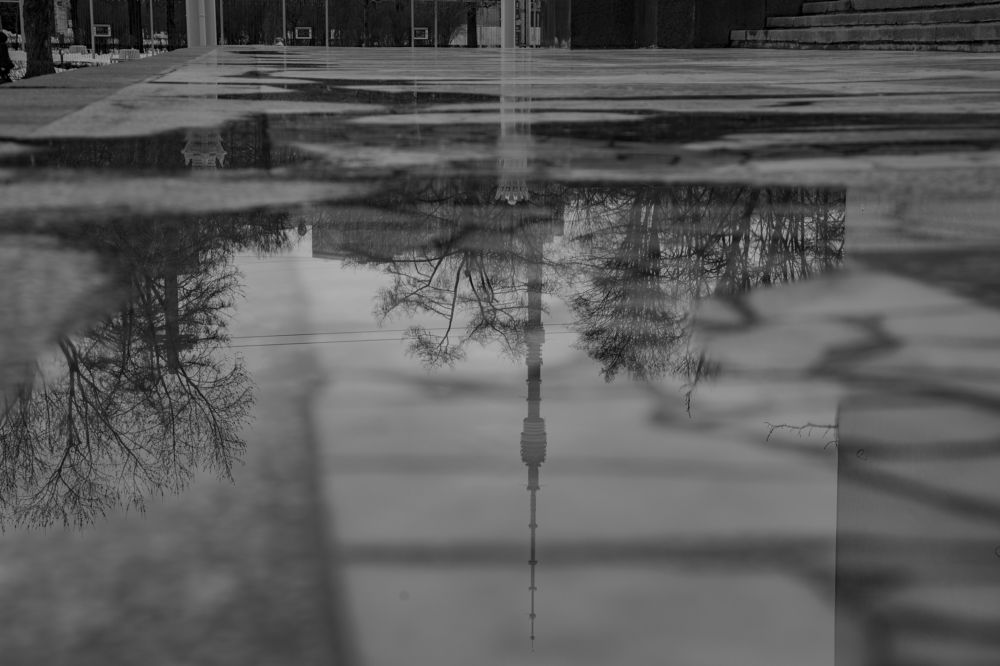 Photograph by Alexey Nikitin