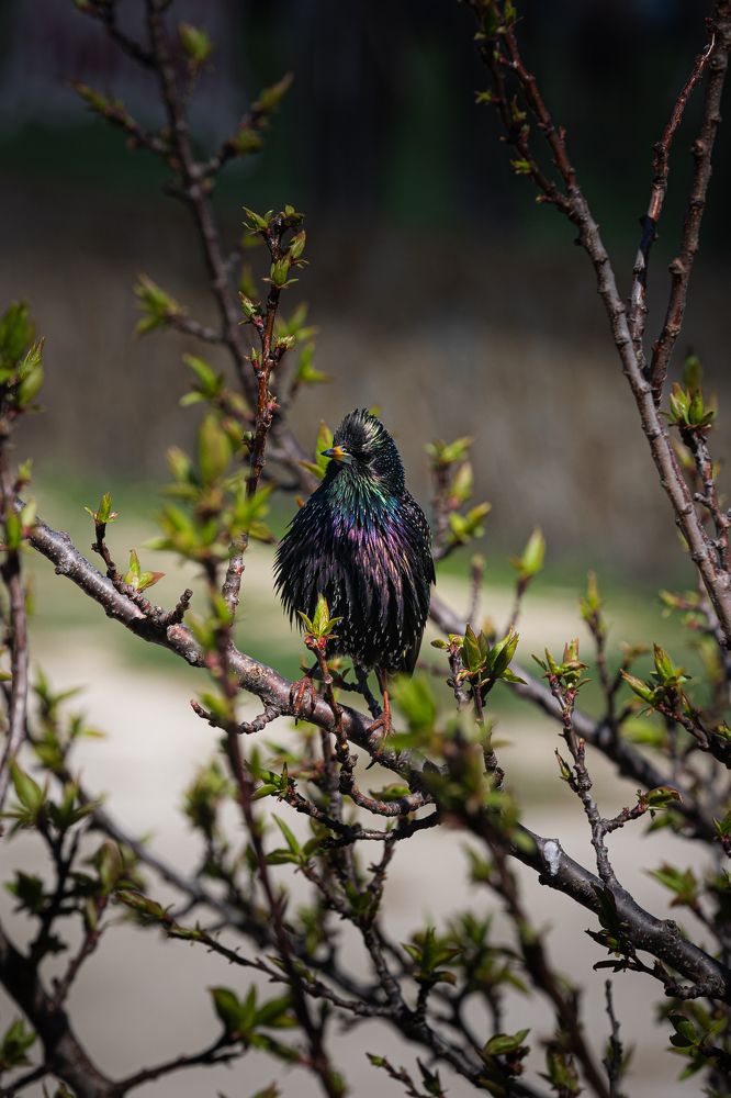 Photograph by Дмитров Андрей