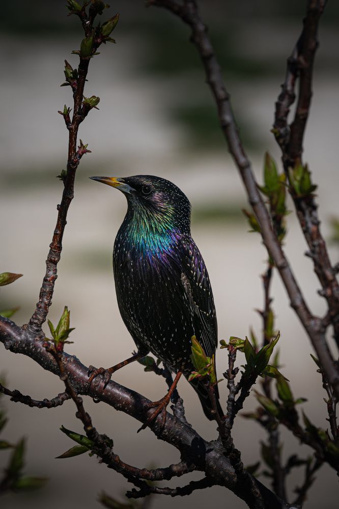 Photograph by Дмитров Андрей