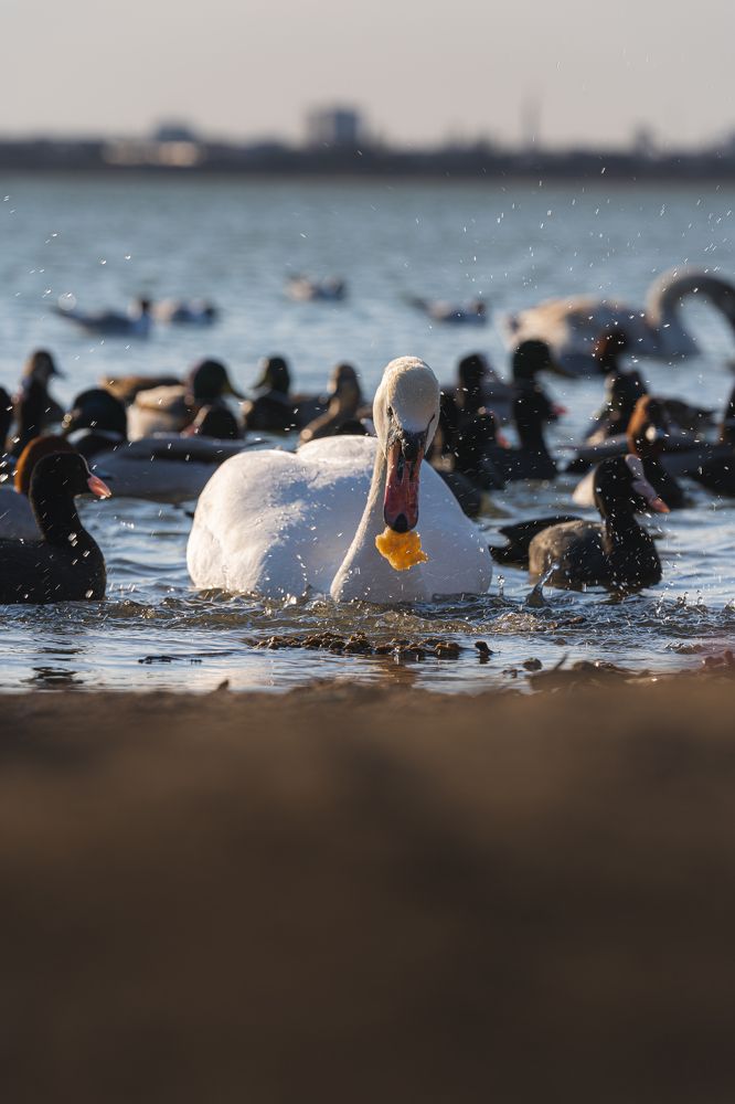 Photograph by Дмитров Андрей