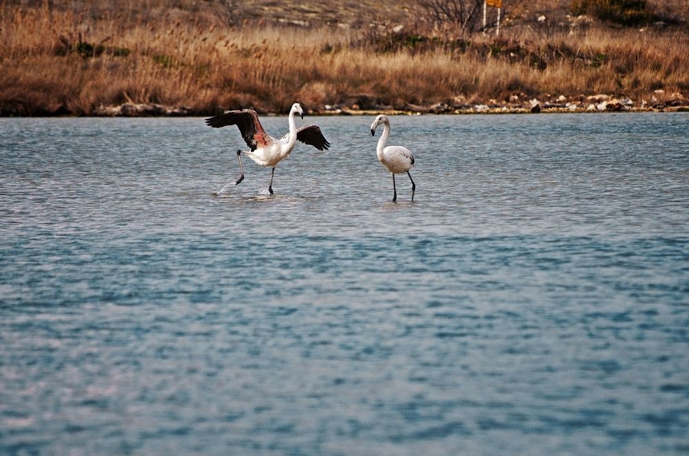 Photograph by Ольга Мальцева