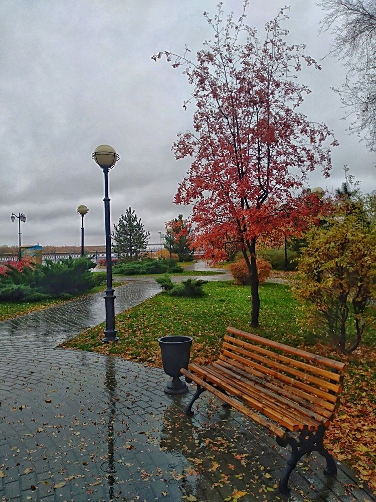 Photograph by Елена Галкина