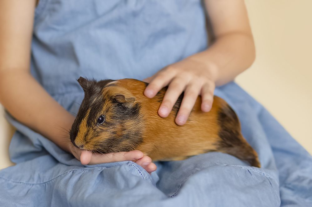 Photograph by Елена Галкина