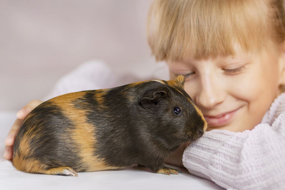 Photograph by Елена Галкина