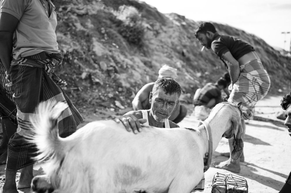 Photograph by Durjoy barua