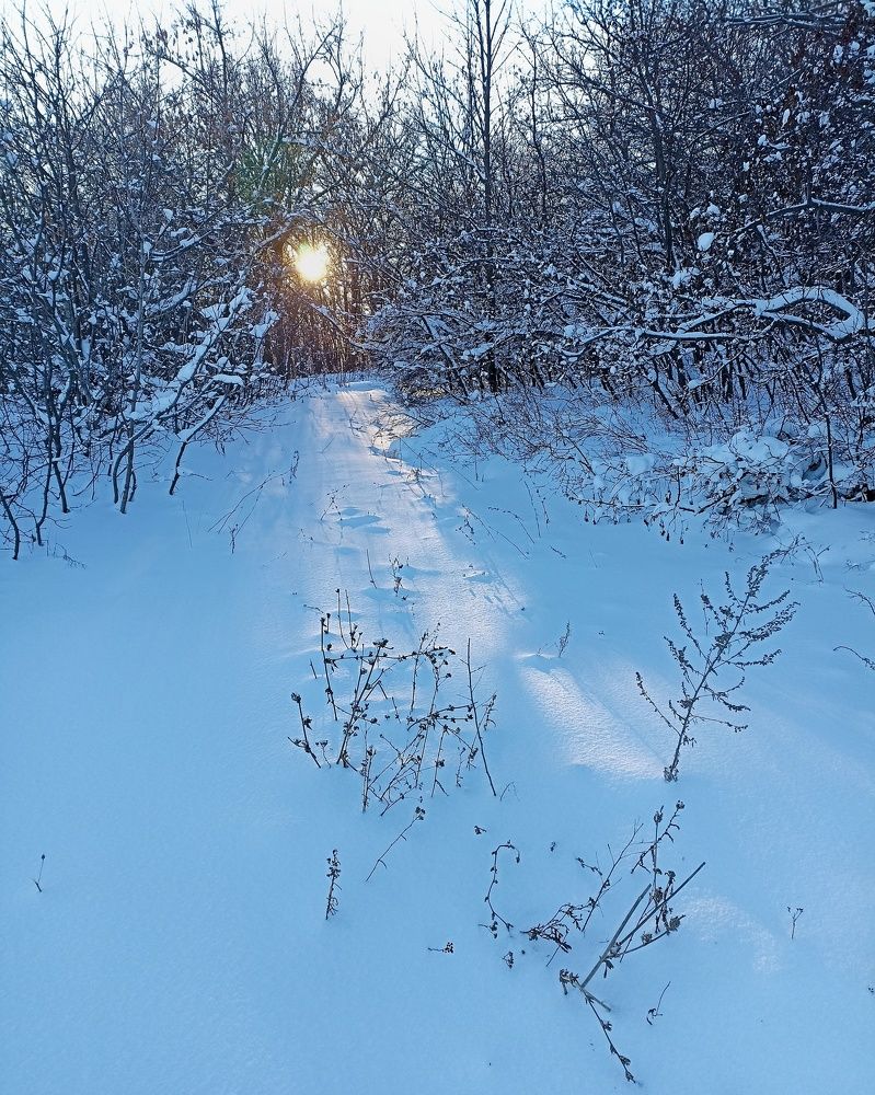 Photograph by Татьяна Чухина